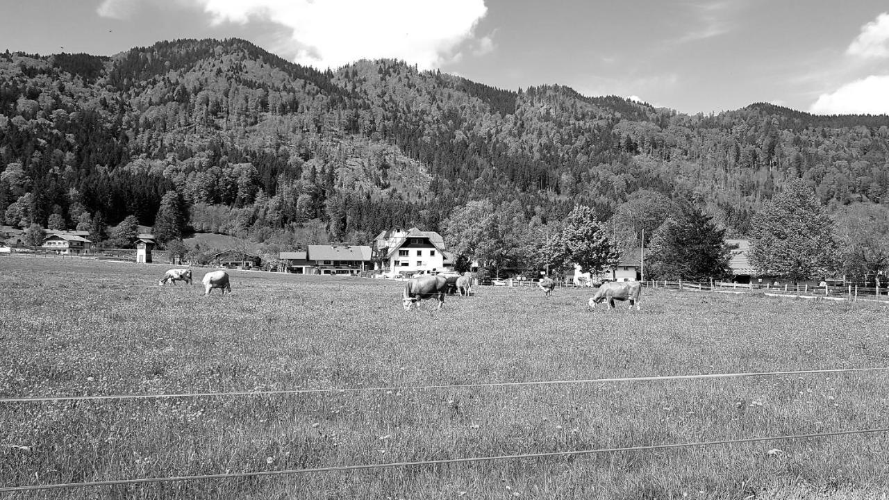 s´Quartier am Schliersee Exterior foto